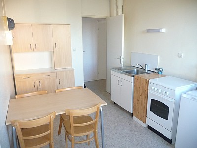 APPARTEMENT T2 A LOUER - ST ETIENNE Parc de l Europe - 47.9 m2 - 410 € charges comprises par mois