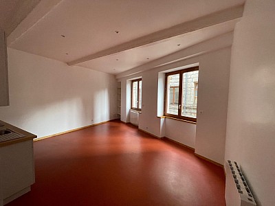 STUDIO A LOUER - ST ETIENNE Peuple-Boivin-St Jacques - 52 m2 - 410 € charges comprises par mois