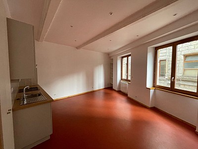 STUDIO A LOUER - ST ETIENNE Peuple-Boivin-St Jacques - 52 m2 - 410 € charges comprises par mois