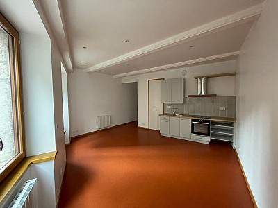 STUDIO A LOUER - ST ETIENNE Peuple-Boivin-St Jacques - 52 m2 - 410 € charges comprises par mois