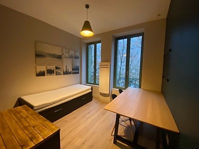 STUDIO A LOUER - ST ETIENNE Fauriel-Le Platon - 20 m2 - 480 € charges comprises par mois