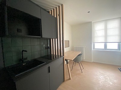 STUDIO A LOUER - ST ETIENNE Peuple-Boivin-St Jacques - 19 m2 - 500 € charges comprises par mois