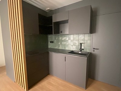 STUDIO A LOUER - ST ETIENNE Peuple-Boivin-St Jacques - 31 m2 - 605 € charges comprises par mois