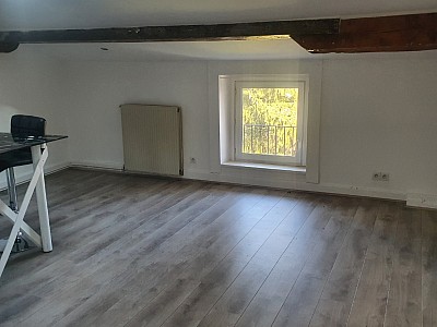 APPARTEMENT T2 A LOUER - FIRMINY Tardive - 55 m2 - 480 € charges comprises par mois