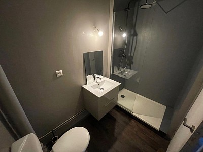 APPARTEMENT T2 A LOUER - ST ETIENNE Le Portail Rouge - 51 m2 - 440 € charges comprises par mois