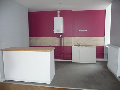 APPARTEMENT T2 A LOUER - ST ETIENNE Hotel-de-Ville - 65 m2 - 450 € charges comprises par mois