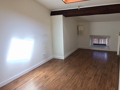 APPARTEMENT T3 A LOUER - RIVE DE GIER Centre - 49 m2 - 420 € charges comprises par mois