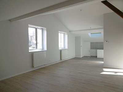 APPARTEMENT T3 A LOUER - ST ETIENNE Hotel-de-Ville - 83 m2 - 660 € charges comprises par mois