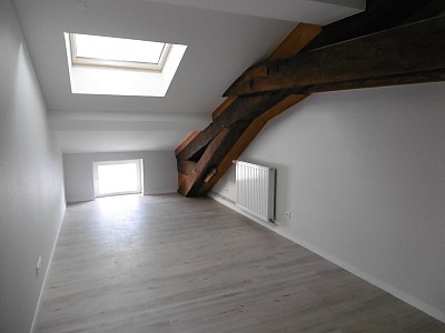 APPARTEMENT T3 A LOUER - ST ETIENNE Hotel-de-Ville - 83 m2 - 660 € charges comprises par mois