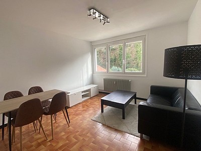 APPARTEMENT T2 A LOUER - ST ETIENNE Cret de Roc Est - 46 m2 - 490 € charges comprises par mois