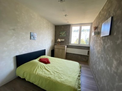 APPARTEMENT T3 A VENDRE - ST ETIENNE - 63.23 m2 - 59500 €